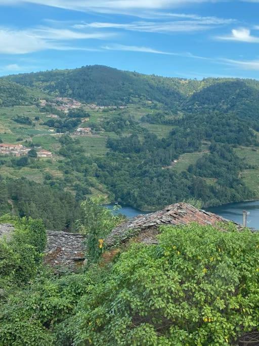 Casa Do Feligres E Da Alsira Villa Nogueira de Abaixo Kültér fotó